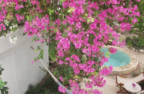 Barrio de Santiago House | Casa Flora, Peaceful Oasis in el Centro