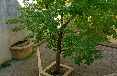 Cormons Apartment | Casa Giorgia, a confortable and amazing place in centre of Cormons