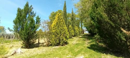 Poderi Apartment | Casa in Maremma