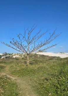 Braga House | Casa independente com piscina e sauna