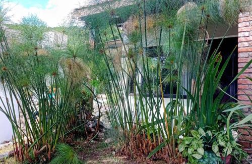 Salta House | Casa laberinto, Entre cerros, cómoda cama de 2x2