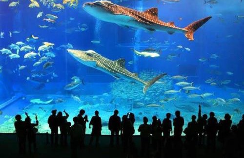 Jardim Real House | Casa Lindíssima e Espaçosa com 2 Piscinas - Adulto e Infantil, Perto da Praia, Opção da Piscina Adulto Aquecida Cobrado à Parte, 4 Quartos Frente as Piscinas, Área Gourmet Completa com Churrasqueira, Forno e Fogão a Lenha, Mesa de Bilhar, Lareira na Sala