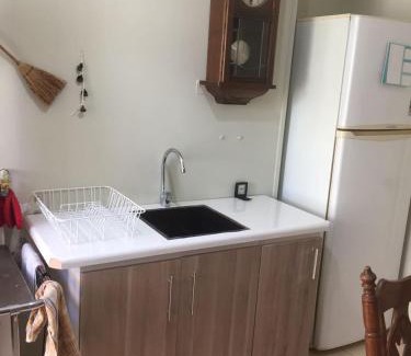 Valdivia House | Casa Linden