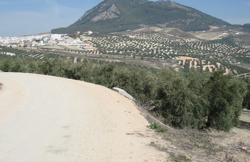 Rute House | Casa Louisa in Rute, Cordoba Province