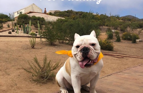 San Antonio de las Minas RV Rental | Casa Misiones Glamping
