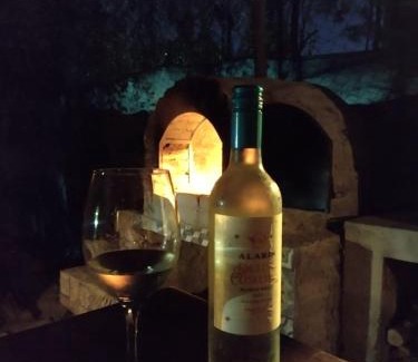 Chacras de Coria Ski Chalet | Casa MAGNOLIA