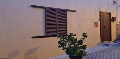 Aguimes House | Casa Mamatita