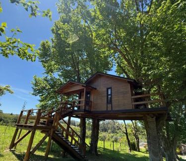 Restinga Ski Chalet | Casa na Árvore - Radosti Experiência