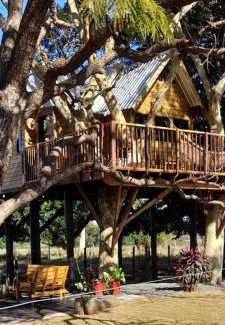 Santa Clara d'Oeste Cabin | Casa na arvore Dream tree house