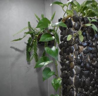 Bijagua Apartment | Casa Nimbu Rainforest