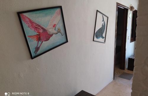 Isla Holbox Apartment | Casa Ohana-Disfruta del paraiso