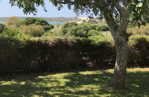 Bolonia Apartment | Casa Oliva Playa Bolonia