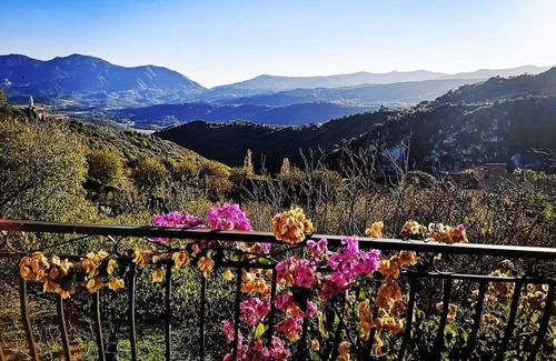 Santo-Pietro-di-Tenda Villa | Casa Olmu and its garden in the heart of Conca D'oru, charming apartment