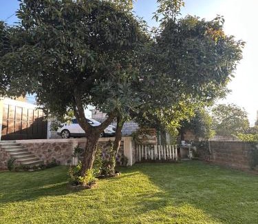 Totolapan House | Casa Palmer, con gran jardín