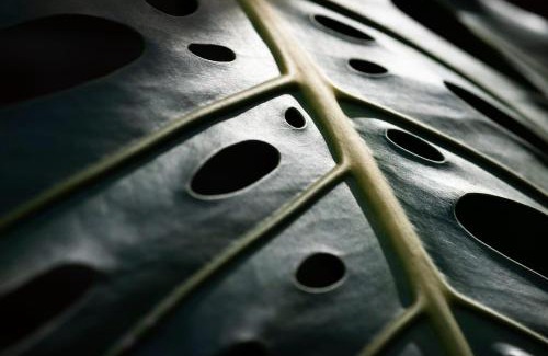 Concepcion del Uruguay House | Casa Parivaar