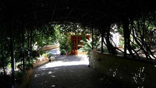 Macari House | Casa Rosalba