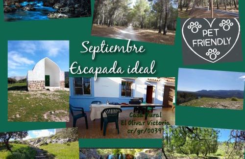 Cuevas del Campo House | Casa Rural El Olivar Victoria