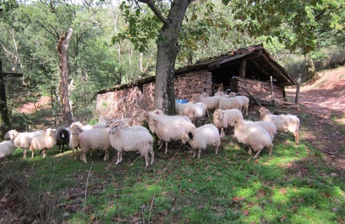 Narbarte House | Casa rural Lakoizketa