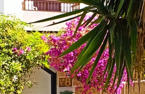 Chayofa House | Casa Sarita - The Holiday Paradise with a Cheerful Vibe