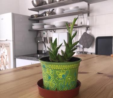 Tazacorte House | Casa Sol