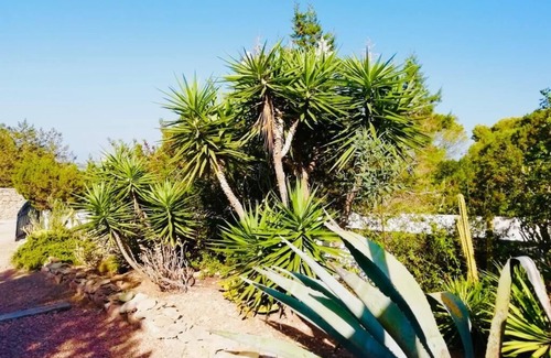 Formentera House | Casa Solea Formentera - Eco Beach House