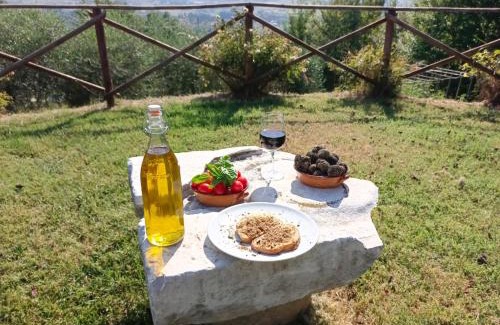 Bevagna Apartment | Casa vacanze Castellara