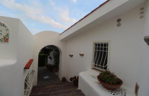 Scario House | Casa Vacanze - Villa Anna