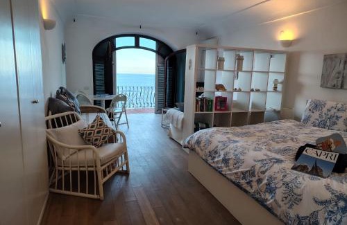 Marina Piccola Apartment | Casa vista Faraglioni Capri 2