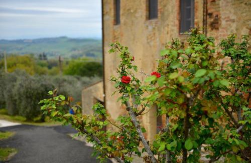 Volterra Apartment | Casa Zeno
