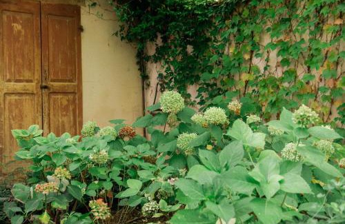 Botteghe di Albinea Apartment | Casale Hortensia