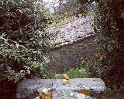 Cortona House | Casarirì