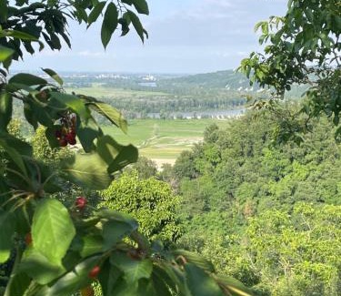 Gabiano Bed & Breakfast | Cascina Il Dovese