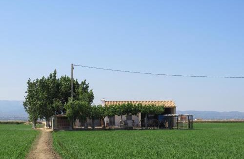 Deltebre House | Caseta Montanyana