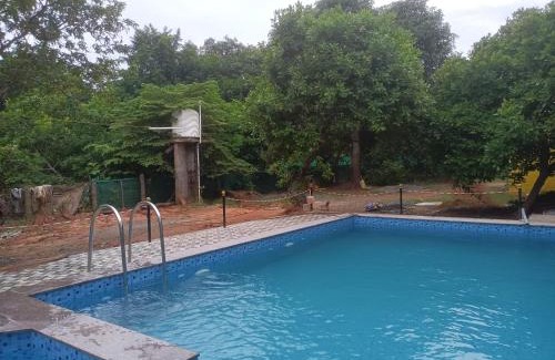 Bommayapalayam Resort | Cashew de auro farm house