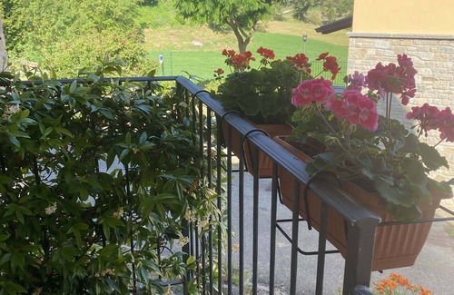 Casina House | Casina: House with character