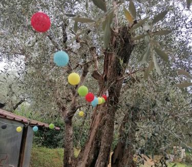 Pietrasanta Apartment | Casina Versilia