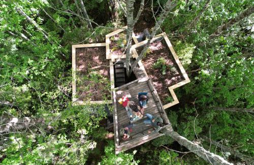 Futrono House | Casita Arbol