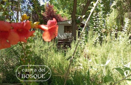 Chacras de Coria House | Casita del Bosque
