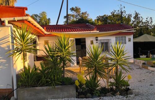 Alora House | Casita Naranja