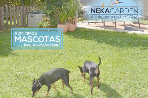 Vigo House | CASITA NEKAGARDEN