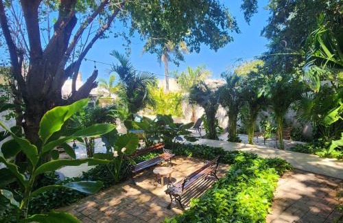 Centro Hotel | Casona Origen Merida