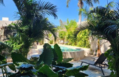 Centro Hotel | Casona Origen Merida