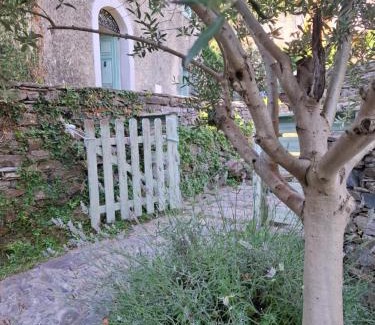 Carcheto-Brustico House | Castellu d'Orezza