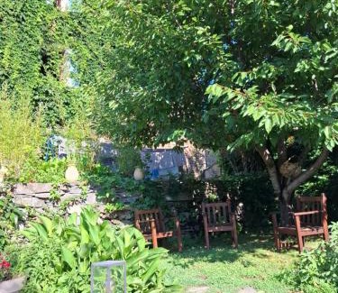 Carcheto-Brustico House | Castellu d'Orezza