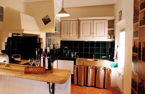 Carces Other | Castle for 12 persons with pool