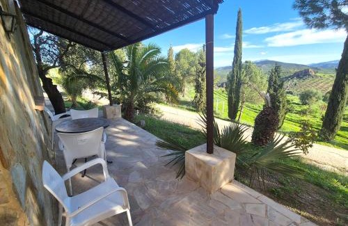 Alozaina Apartment | Castle Tower apartment BERNARD in rural holiday park