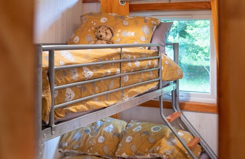 Cenarth Ski Chalet | Catkin Lodge set in a Beautiful 24 acre Woodland Holiday Park