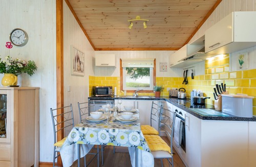 Cenarth Ski Chalet | Catkin Lodge set in a Beautiful 24 acre Woodland Holiday Park