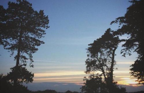 Winchelsea Apartment | Cedarwood, an intimate and romantic cabin for two.