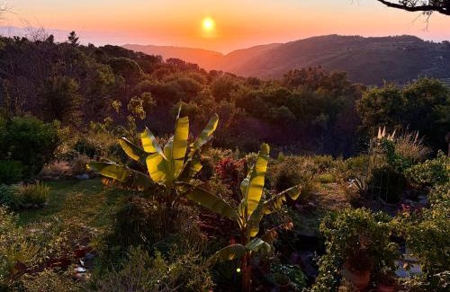 Cefalu House | Cefalù Forest Hideout